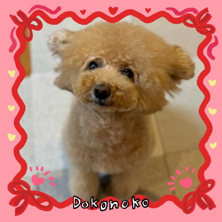 B2d49cfe bbc4 4cda b006 8814454402ee 1706756968925