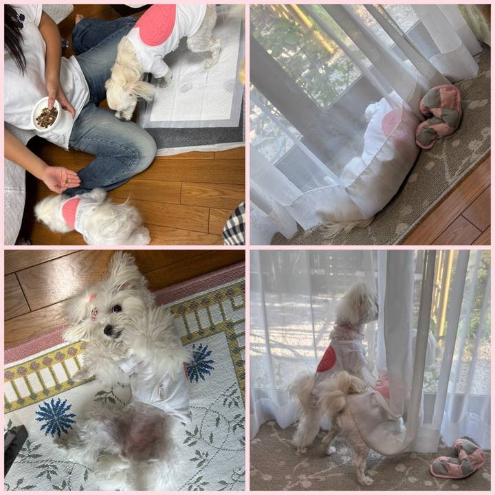 B2d4e1fa 8d52 4bb9 9d22 81a609c699be 1755160490404