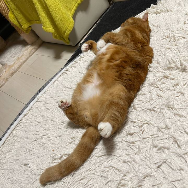 B2d50399 a00d 4ce8 a3ec 081621206738 1667653782406