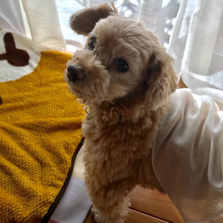 B2d51d69 f708 4140 84ad d620d7b7ab21 1516927164970