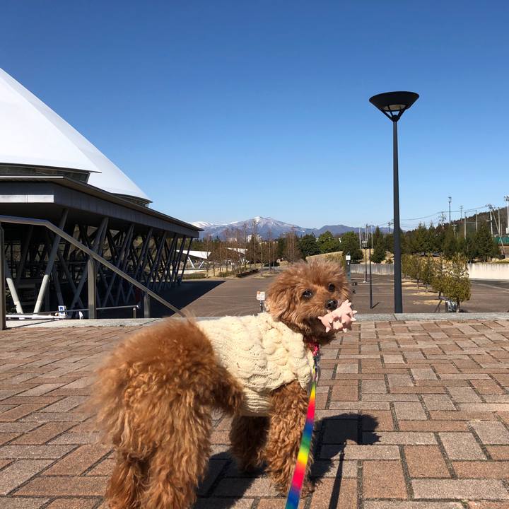 B2d53c00 2630 4d53 831c 4b2e6f61a253 1552874359825