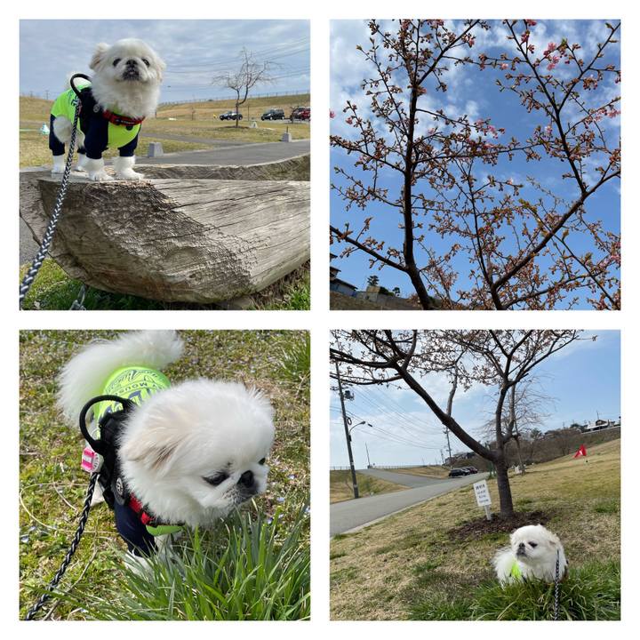 B2d54406 ec24 4d30 95dc 9125f4657d72 1712300455850