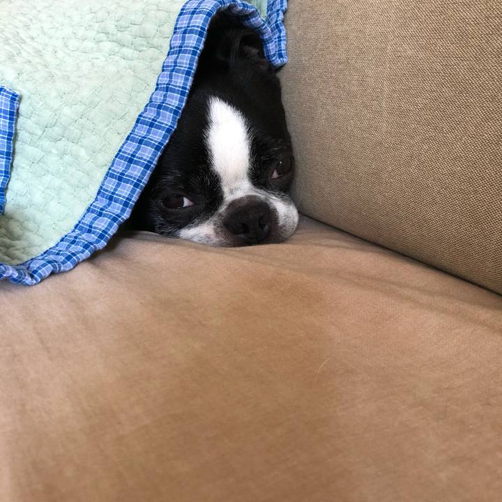 B2d5444b 7ca0 45fd 8565 05fb9ff52894 1654559077552