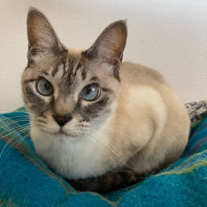 B2d5475f 3d6c 4ef4 b6ec 59534abd26bd 1709527629977