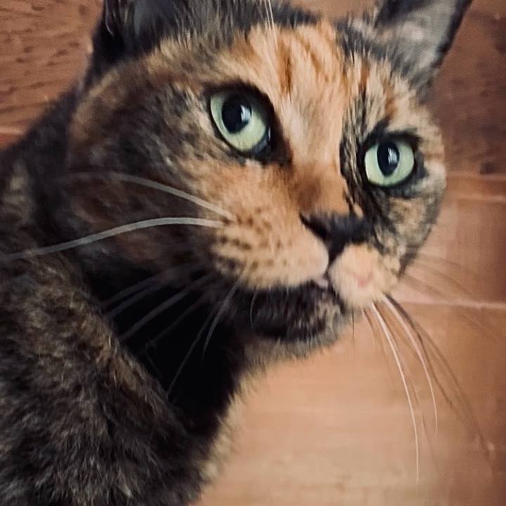 B2d57378 1505 4477 8d58 6deedab4d62a 1755999275838