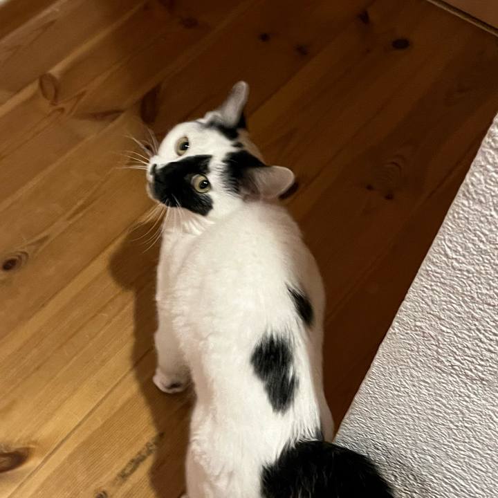 B2d584ad a9b0 422e bd58 bb9edd763db1 1771684825774