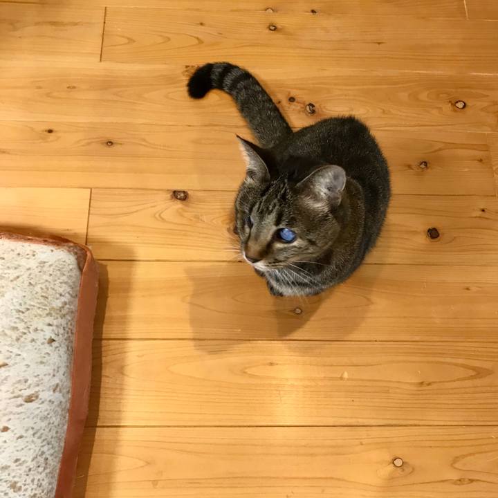 B2d58a5e 4f02 4825 8a79 e13b780a71b4 1556583559664