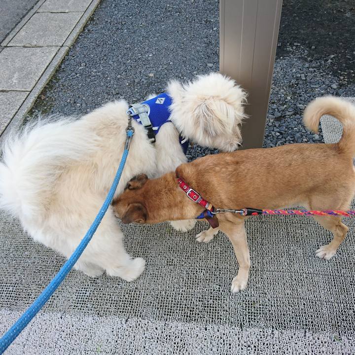 B2d58b1c 8b12 449f 9e31 197042348244 1600073119379