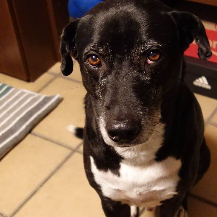 B2d5c981 3761 4714 b559 5fbf06cdc974 1735775739229