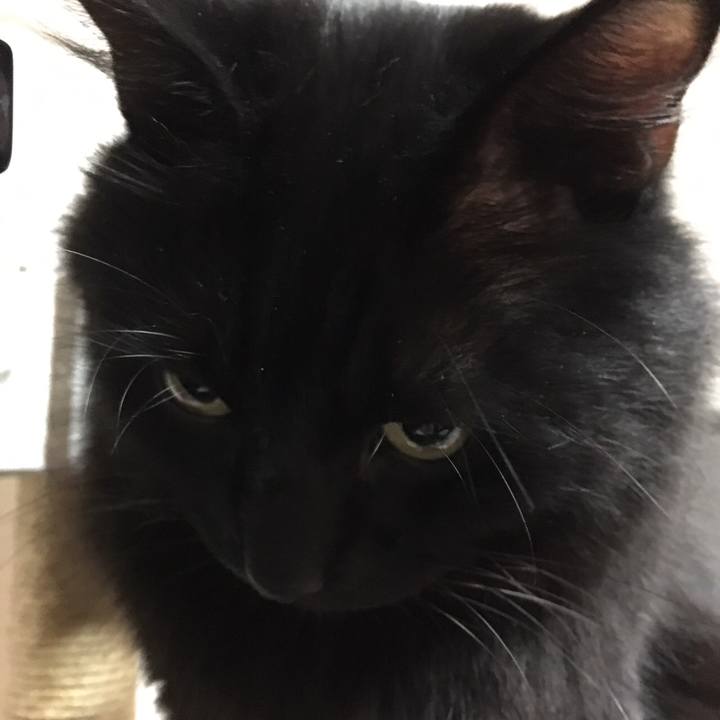 B2d5d11f 516e 4ea6 8eef 204429f4264a 1512643597346