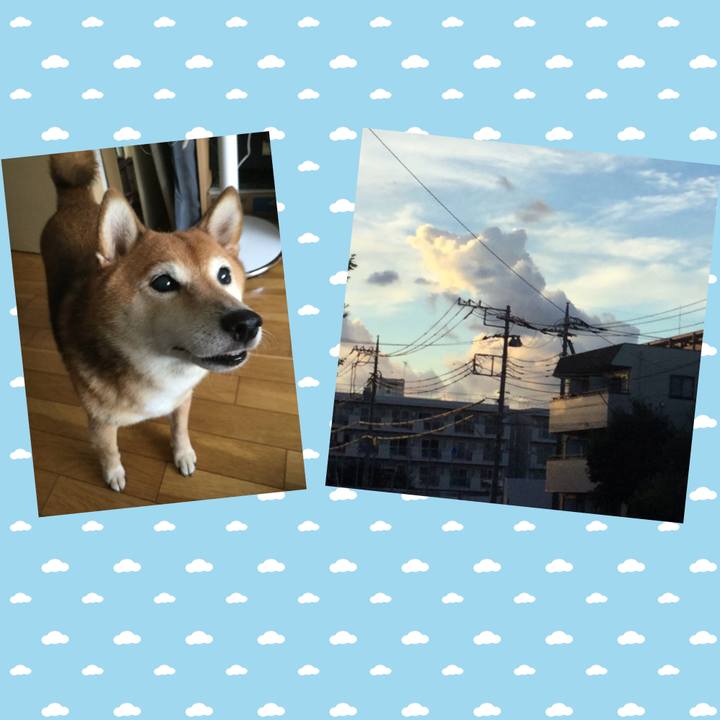 B2d5ee00 755c 49fe 9e6a 37b581c9e8a6 1598519246730