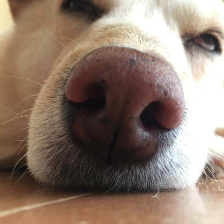 B2d626d9 1527 4f75 9d57 6c10153e3819 1523410218663