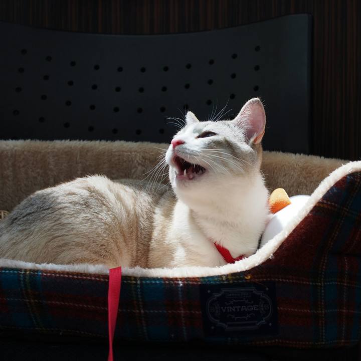 B2d64813 4289 4309 a308 61cf94577678 1524487971449