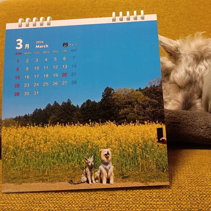 B2d689c6 9c19 43a1 b127 d881e03ac7a2 1772364719306