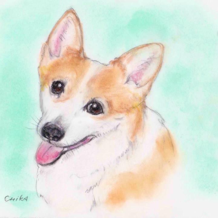 B2d6d565 7698 4633 b134 4dab587940b2 1612361671911