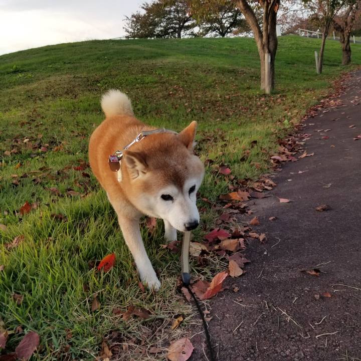 B2d6db08 09c4 45eb a9e0 6710efa1546a 1697615431455