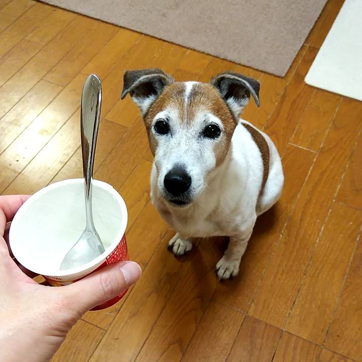 B2d6ea03 73a7 4d86 b1bc 3e8bb30a0f32 1548972936869