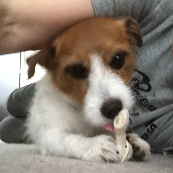 B2d6ff54 71b2 402e 9ef7 e8bd8b123e2b 1560061965255