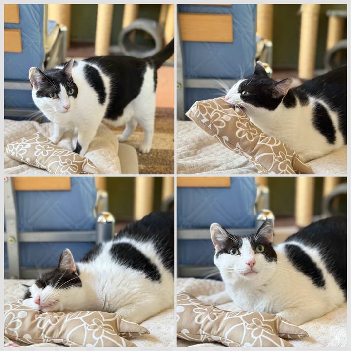 B2d714fc 486e 487d 9b6c 3335d6a4ac63 1727916417741