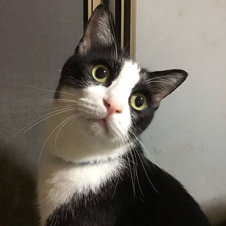 B2d7220c 0c27 49c4 8a0a 2ca8674061f1 1694430246985