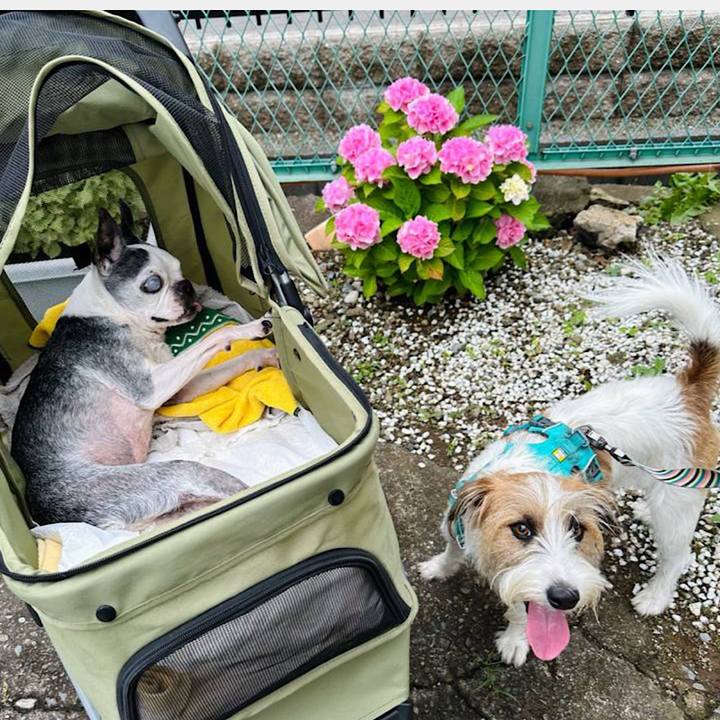 B2d725fc 3cf2 40d8 8b0b 4dab1b369bba 1690374979227