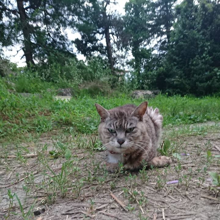 B2d75eb4 670b 490a bd84 60bb3c9dc22e 1596795442058