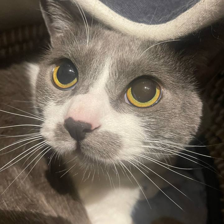 B2d7637a 4338 474b ada2 cc908f04ff44 1681306055072