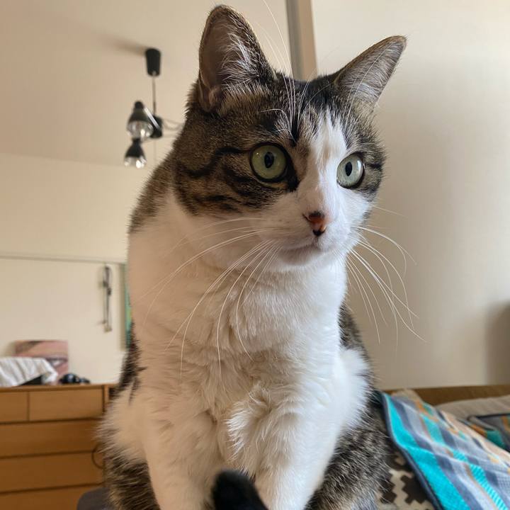 B2d78970 2d77 441e a7fd 46ce9498fbb2 1611888671107