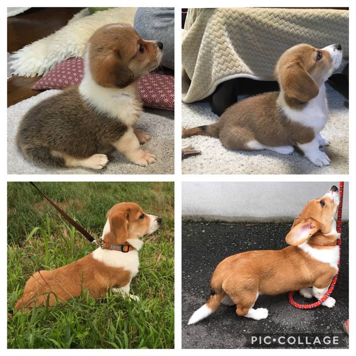 B2d78cc1 5d31 4e91 81d7 ad250b1e29ba 1595646761964