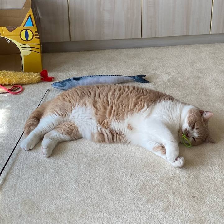 B2d79412 5a3f 400f 818c 101238722c49 1612583884823