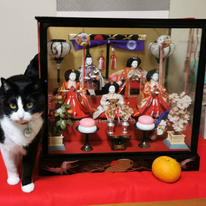 B2d7b7b2 2415 4228 bc76 7e7146ae7b5d 1649131948619