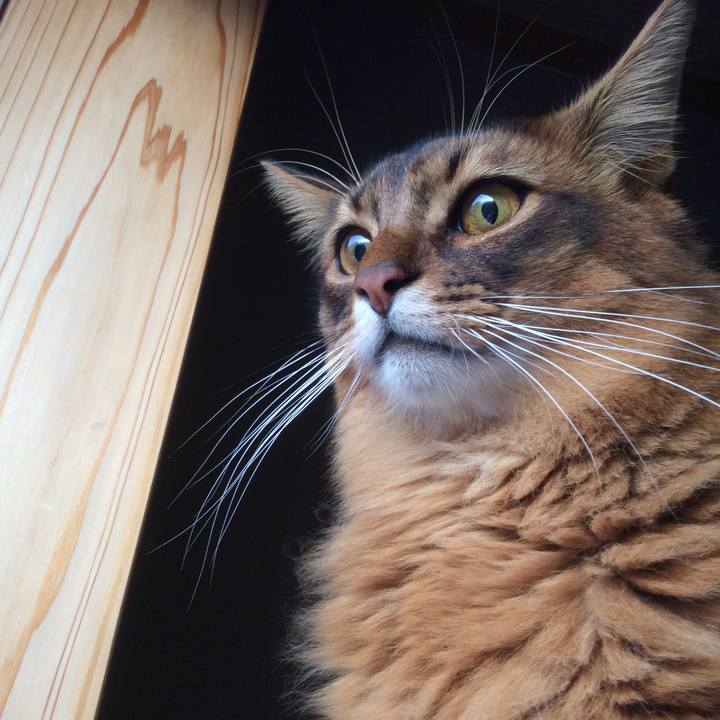 B2d7bae9 2efc 486f b4e3 63f29c09a0f4 1609974555654