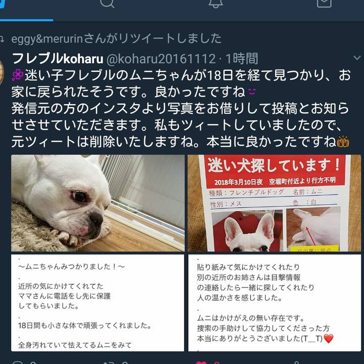 B2d7ca20 0322 4b59 bf16 17271ef6eda8 1522220306132