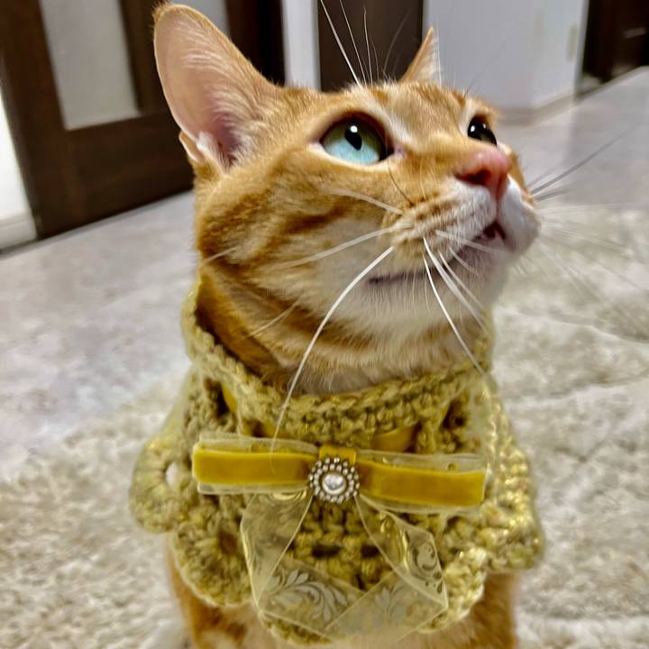 B2d7f210 c847 4bd1 800d 76f59189125c 1709983063424