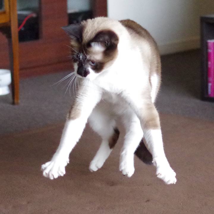 B2d812d5 0f74 4fef a7c8 9c1bbe221854 1557971918602