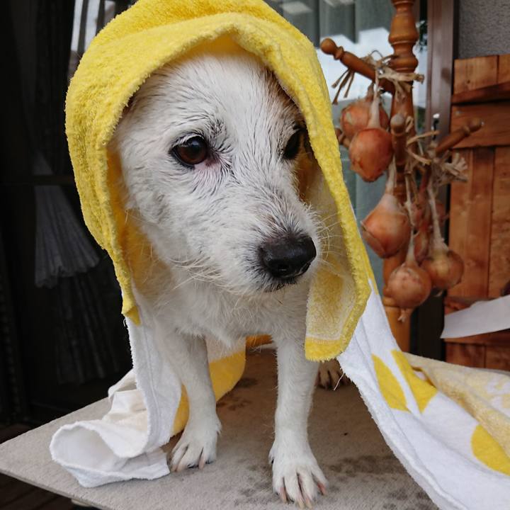 B2d82cd9 da49 4828 ae5a 006faca6c703 1531782001656