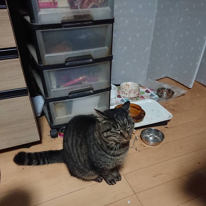 B2d83358 42e2 4fe7 a866 446adeefc807 1638822955859