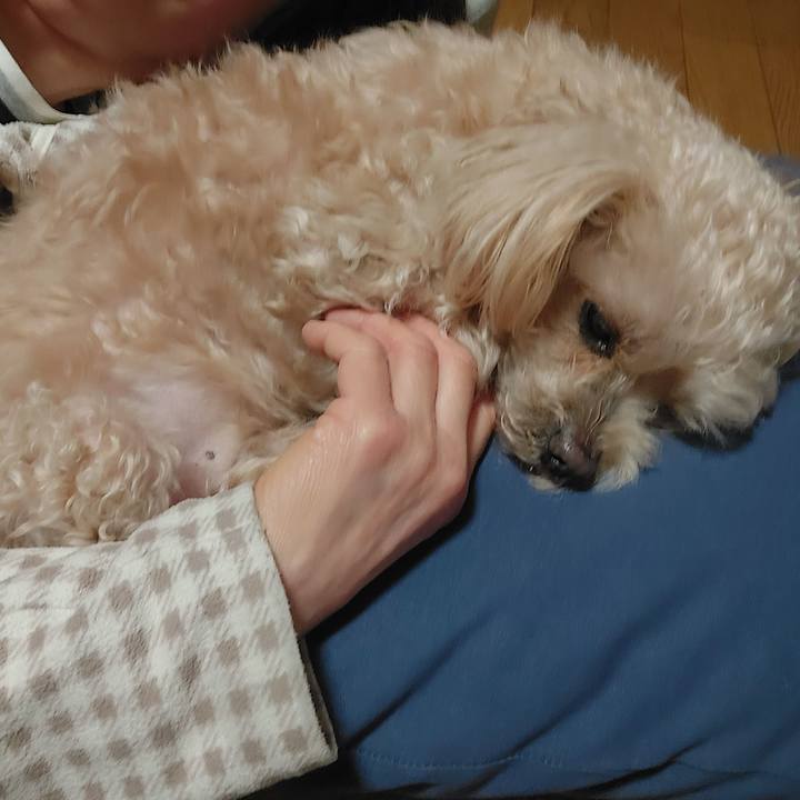 B2d83fdf d9d7 447f 97e5 30da31ef9f1c 1740804448925