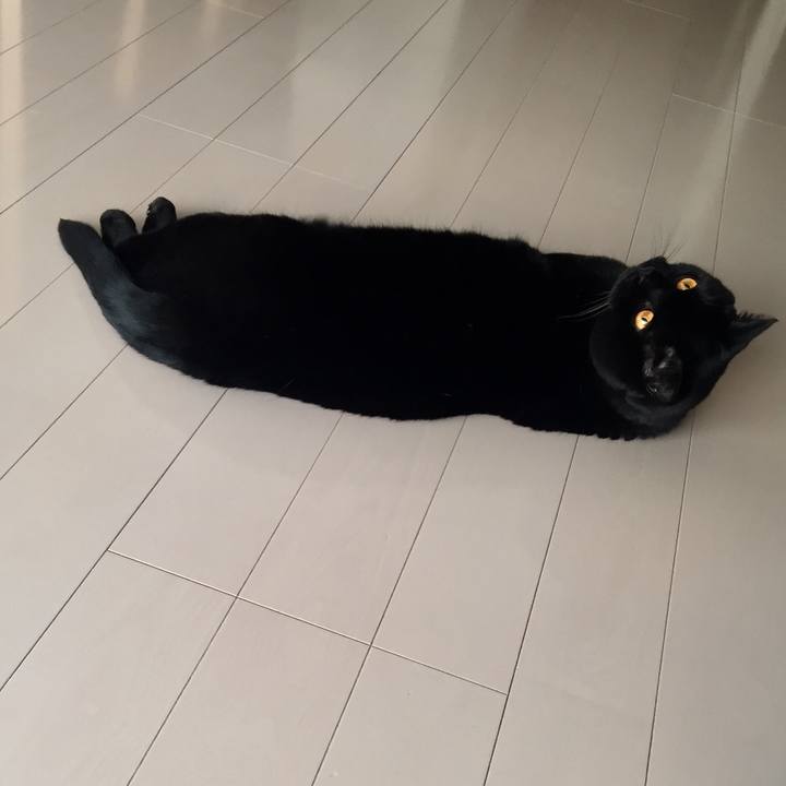 B2d85fc2 02fe 4ced 9d9d fe3c63ab5a51 1584920538155