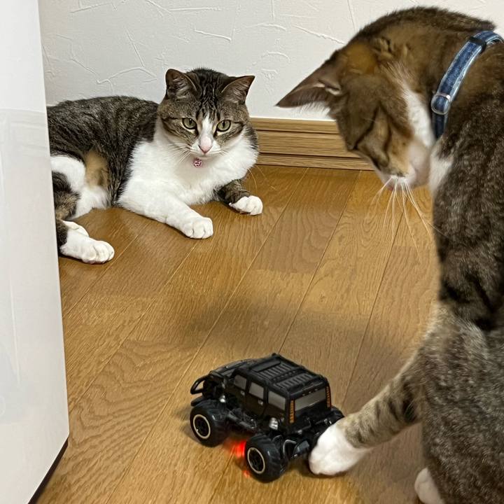 B2d885ef 057a 4d29 80d3 c98f955927b3 1724243723731