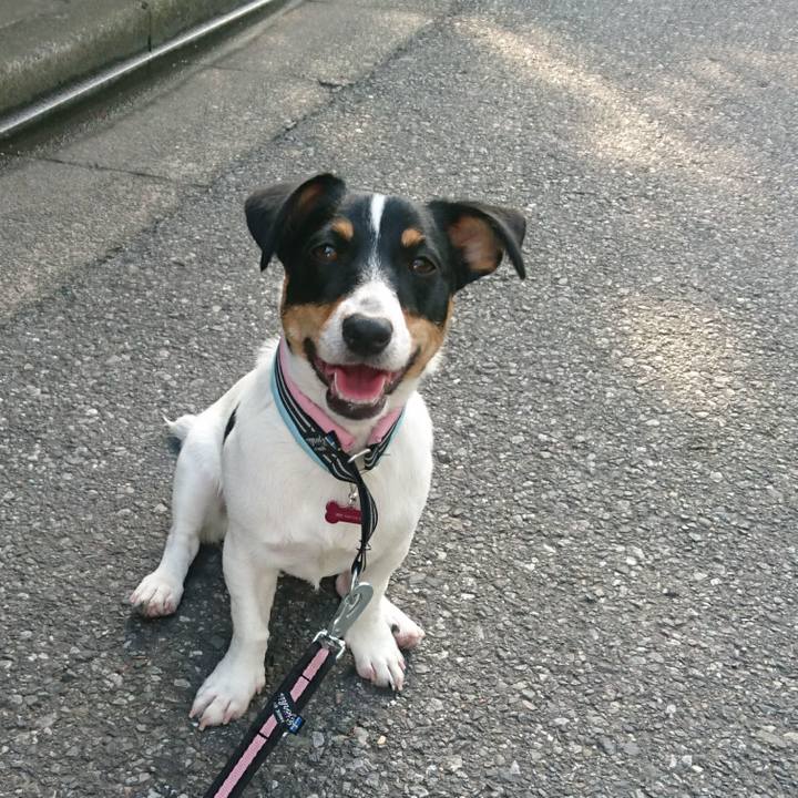 B2d8c85f 8e41 4bd7 921a 383ad6da8fa7 1529458643592