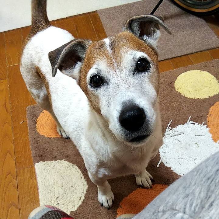 B2d8d8c3 c7b2 4c1c 9ee5 c0a9cfe1860b 1544480441430