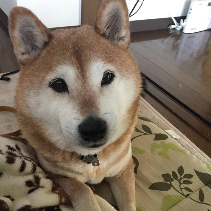 B2d9094a b229 4556 a8fb 2def497df15d 1519017064480