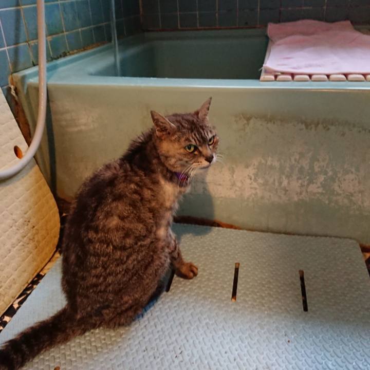 B2d915fa 0c11 404b a9ec 6d2b1a2bb621 1595669374785