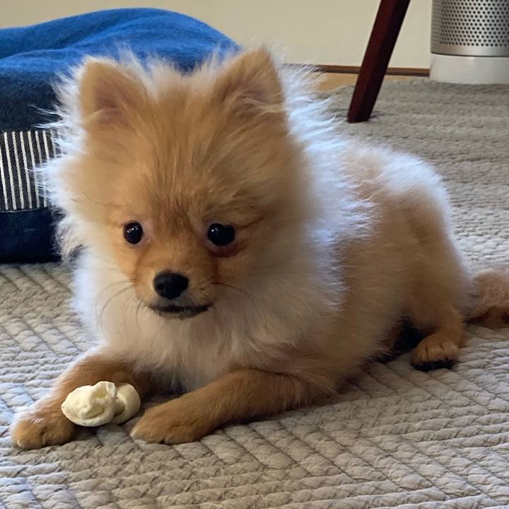 B2d960d7 389d 4a2e a6eb 8604e6aaee50 1755395287084