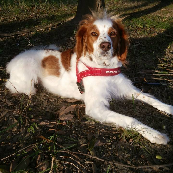 B2d97226 0104 478e 9e05 98c294f5158e 1539344844130