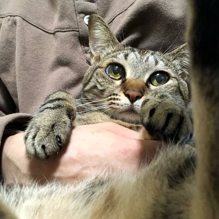 B2d97a3f 5173 463a 99a2 a9bc527cf4af 1521214944980