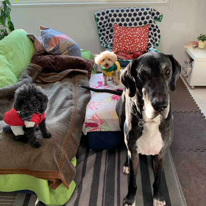 B2d97aa6 c06e 4f7e a30a 83a74073e17d 1549579612790