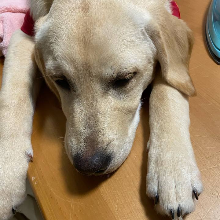 B2d9928e eb67 4d59 b92d f85d94ee318d 1618525348639