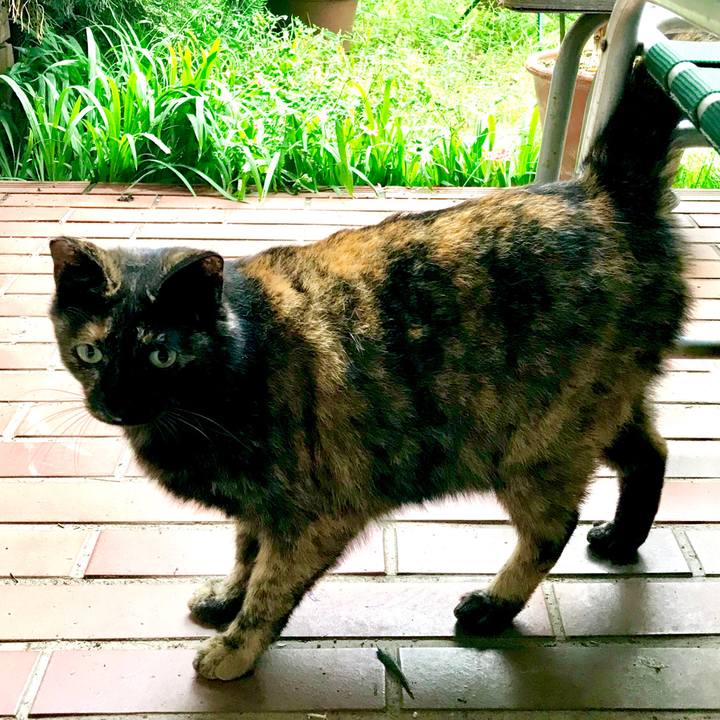 B2d9b284 436b 4f78 a6e8 876dd024c932 1528277374253